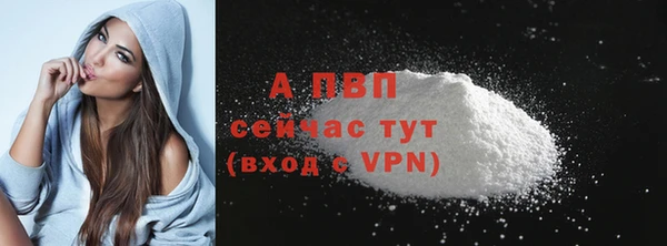 ECSTASY Богородск