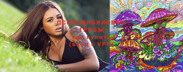 ECSTASY Богородск