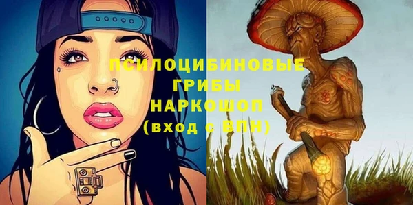 метадон Богородицк