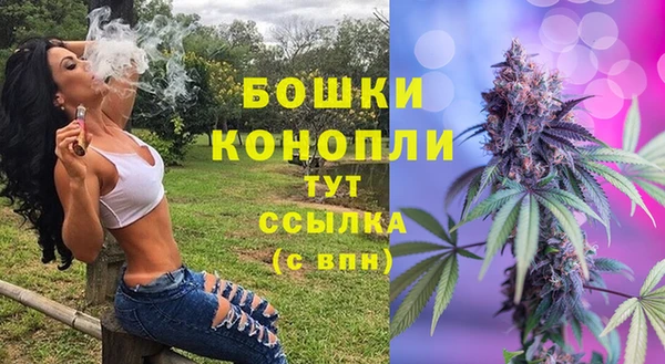 ECSTASY Богородск