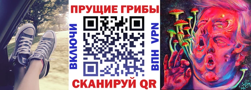 Псилоцибиновые грибы ЛСД  Купить  Бор 